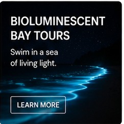 Sponsored feature
