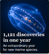 1,121 discoveries in one year
