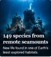 149 species from remote seamounts