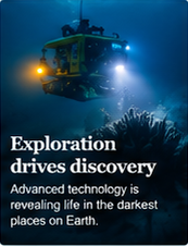 Exploration drives discovery