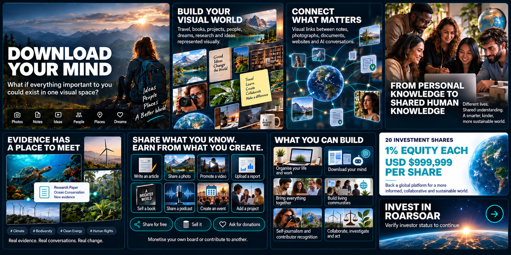 RoarSoar investment board showing personal knowledge, collaboration, creator monetisation and the investment opportunity